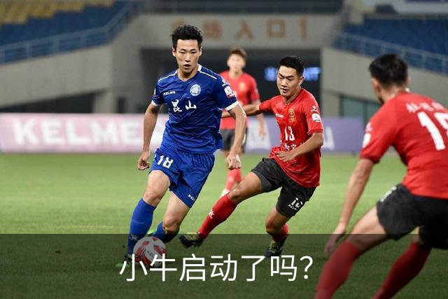 小牛启动了吗？